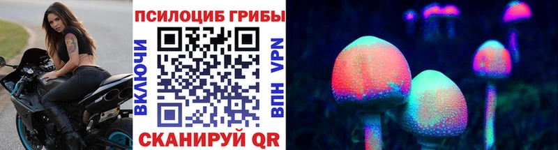 купить наркоту  Сретенск  Псилоцибиновые грибы мицелий 